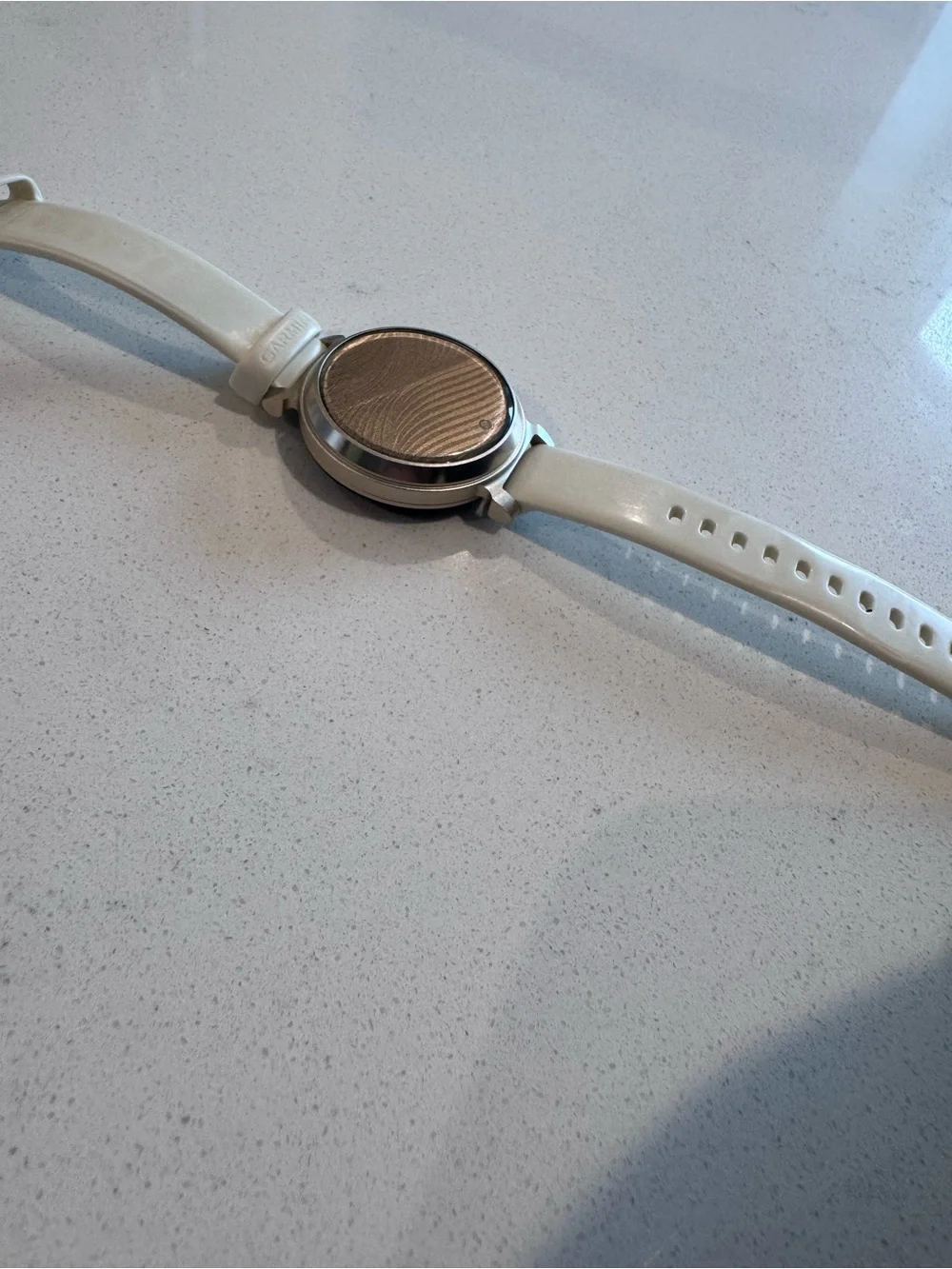 garmin lily 2